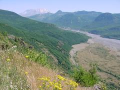dsc02045.jpg