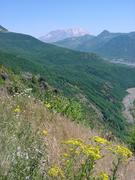 dsc02046.jpg