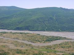 dsc02050.jpg