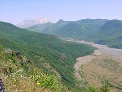 dsc02053.jpg