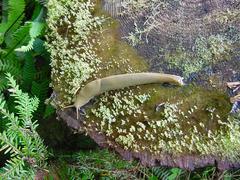 dsc01005.jpg