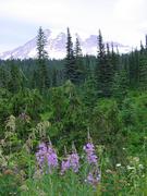 dsc04013.jpg