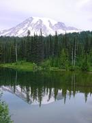 dsc04014.jpg