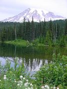 dsc04015.jpg