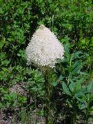 dsc04016.jpg