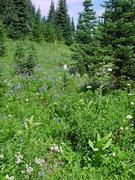 dsc04017.jpg