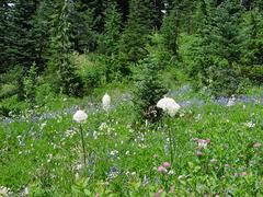 dsc04018.jpg