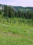 dsc04019.jpg