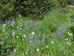 dsc04024.jpg