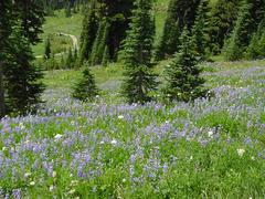 dsc04025.jpg