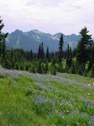 dsc04026.jpg