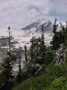 dsc04035.jpg