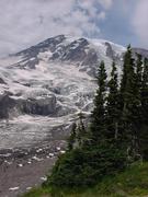 dsc04040.jpg