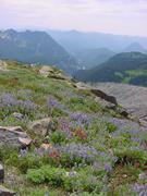 dsc04047.jpg