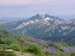 dsc04053.jpg