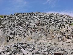dsc04060.jpg