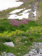 dsc04061.jpg