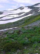 dsc04062.jpg