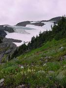 dsc04066.jpg