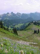 dsc04068.jpg