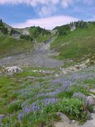 dsc04072.jpg