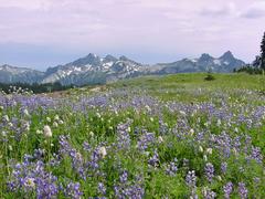 dsc04073.jpg