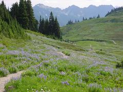 dsc04074.jpg