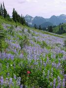 dsc04078.jpg