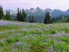 dsc04079.jpg