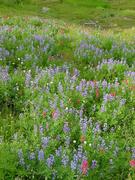 dsc04083.jpg