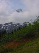 dsc04086.jpg