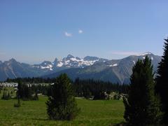dsc03001.jpg