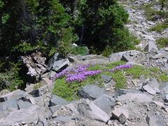 dsc03006.jpg