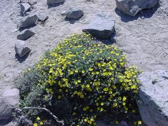 dsc03009.jpg