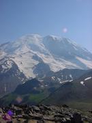 dsc03020.jpg