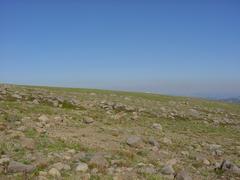 dsc03027.jpg