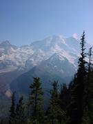 dsc03031.jpg