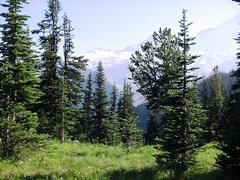 dsc03036.jpg